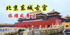 想要导航，桃红色界中国北京-东城古宫旅游风景区